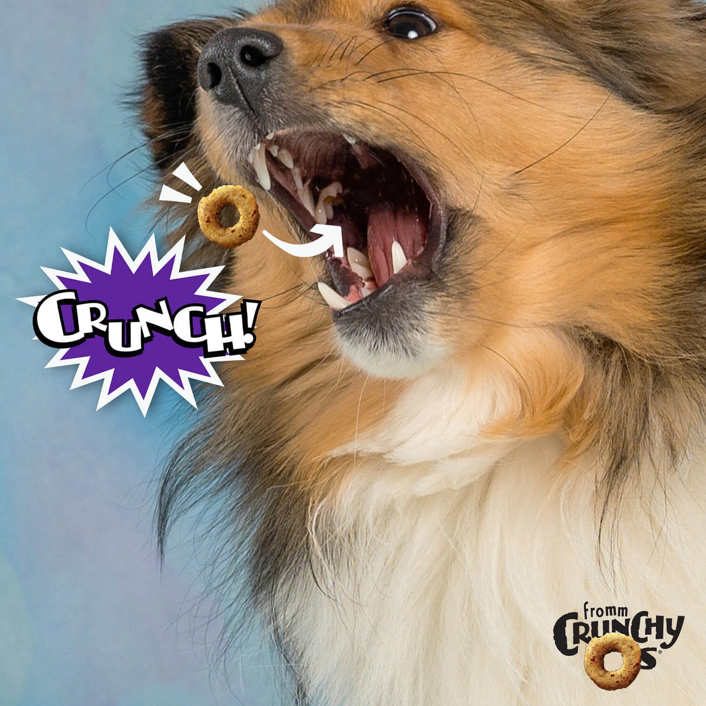 Fromm Crunchy O's Cheese Dog Treats - Grain-free, savory cheese and vegetable flavored treats with a satisfying crunch, providing a delicious and nutritious snack for dogs.