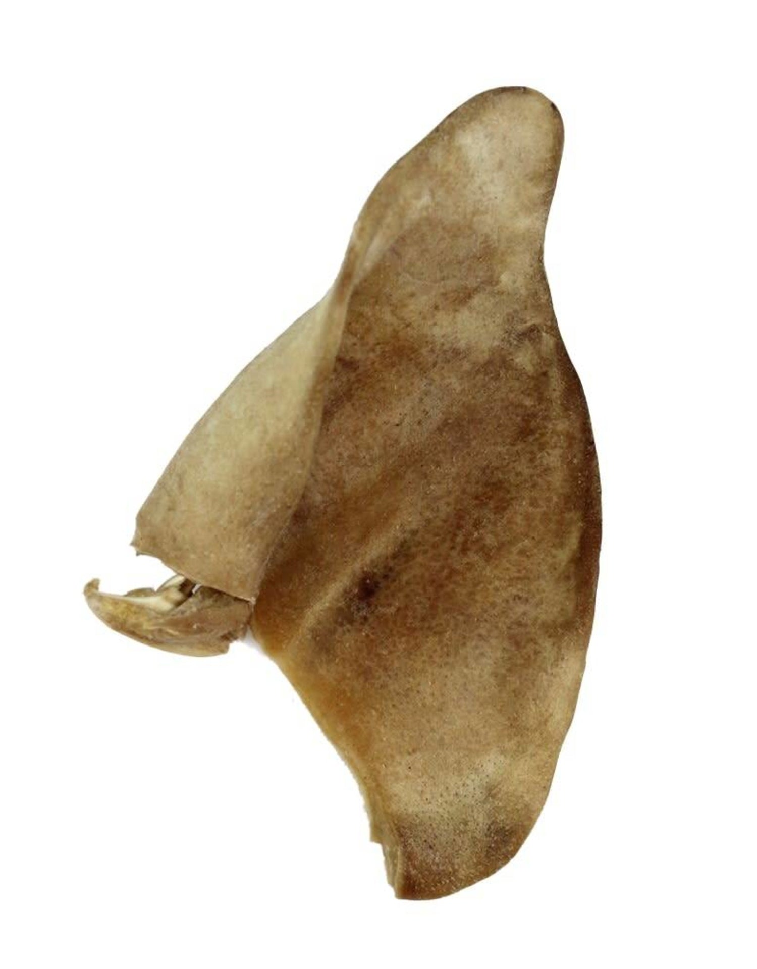 Bones & Co Pig Ears for Dogs - Natural, High-Protein, Long-Lasting Chews for Dental Health and Chewing Satisfaction