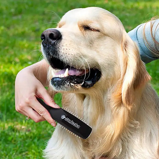 John Paul Pet Painless Grooming Brush for Dogs & Cats