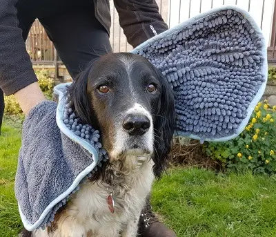 Henry Wag Noodle Glove Dog Drying Towel