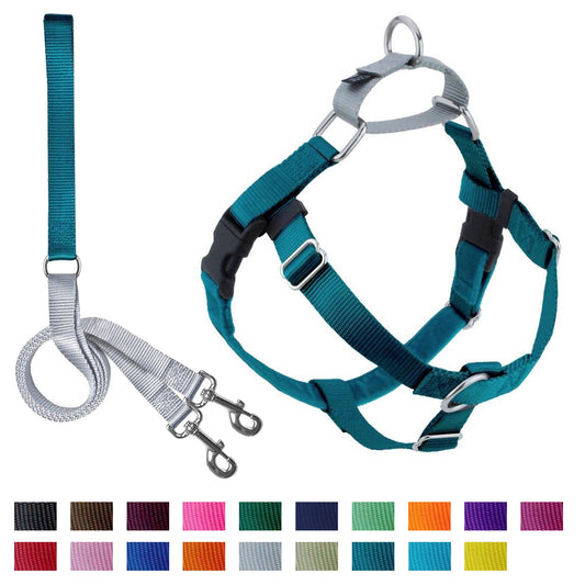 Teal Freedom No-Pull Dog Harness with Leash