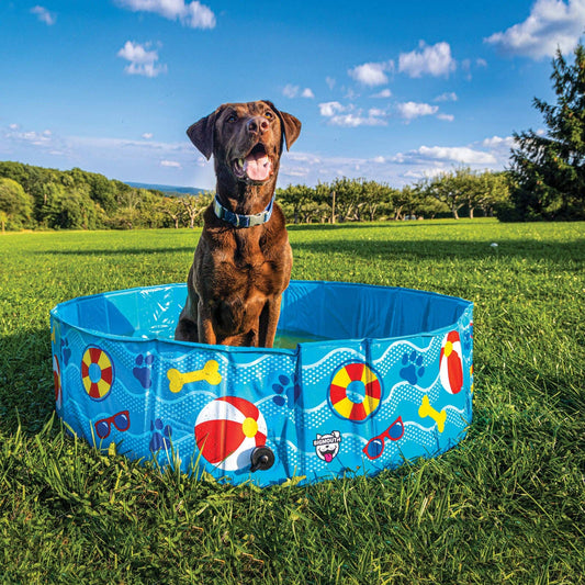 Patterns and Splashes Pet Pool