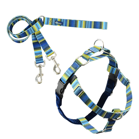 EarthStyle Clyde Freedom No-Pull Harness with Leash