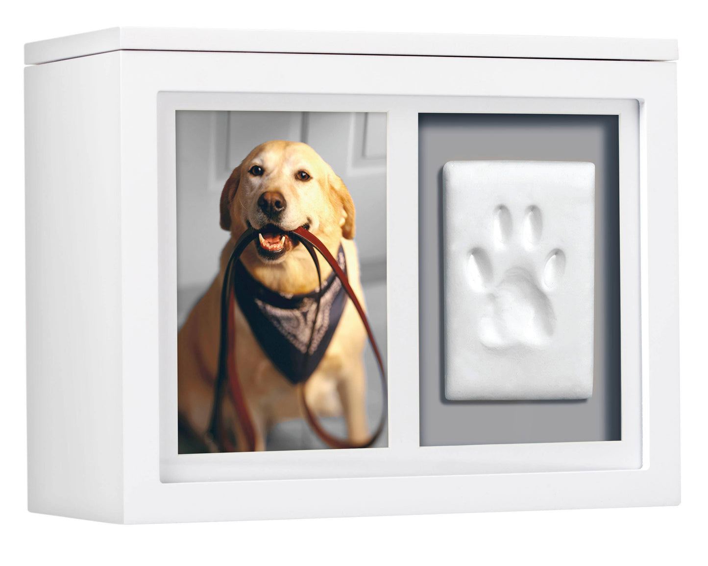 Pet Memory Box & Pawprint Impression Kit -White