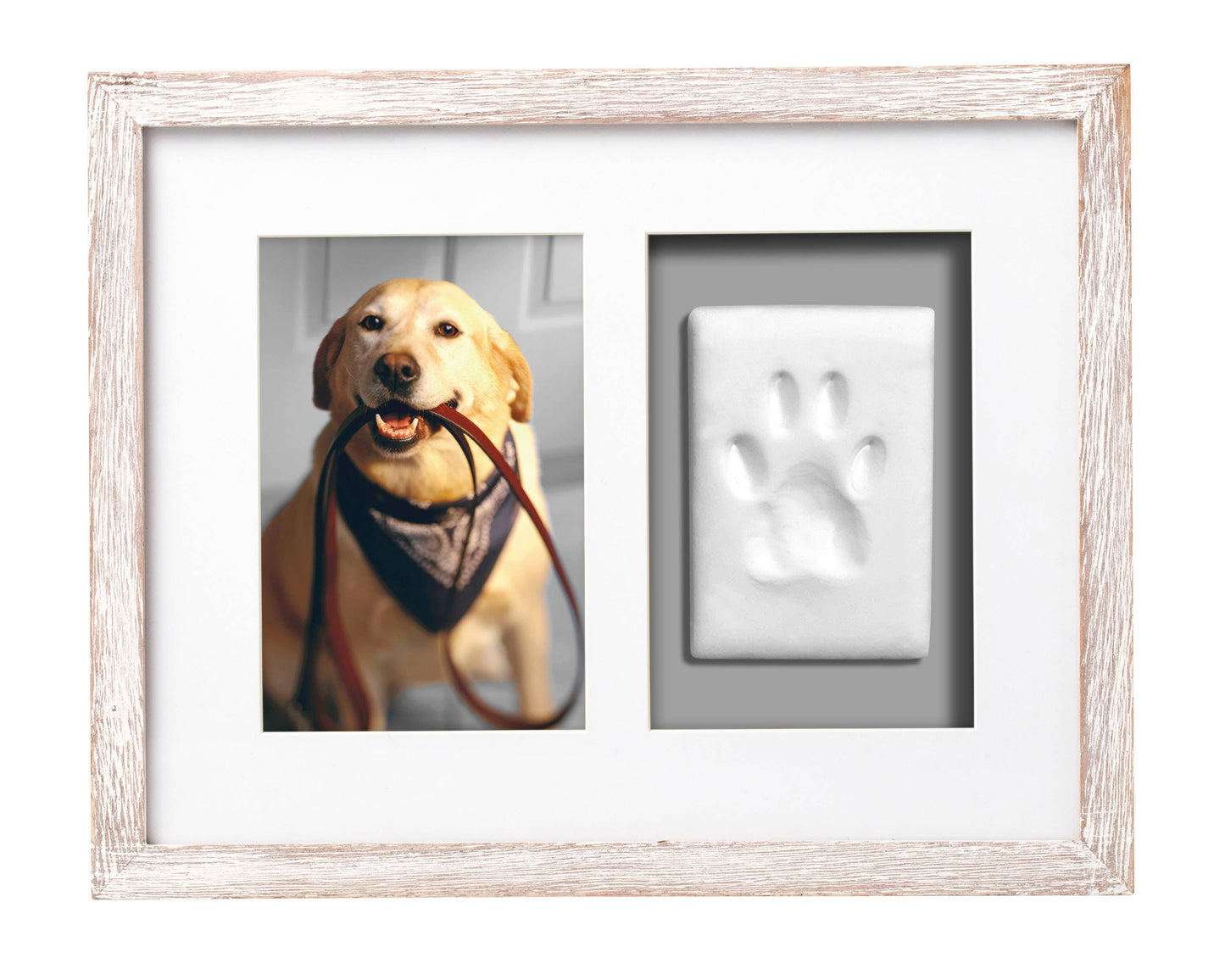 Pawprints Wall Frame and Impression Kit, White Distressed