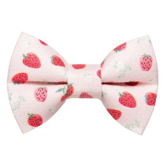 The Shortcake - Cat / Dog Bow Tie