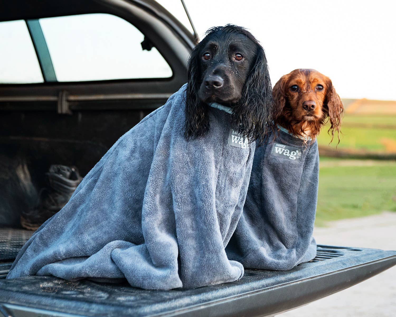 Wagg 2025 dog towel