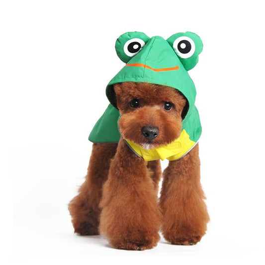 Frog Raincoat