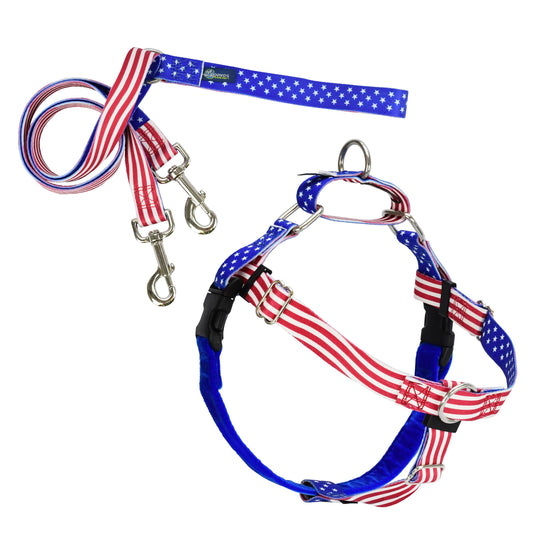 EarthStyle Star Spangled Freedom No-Pull Harness & Leash