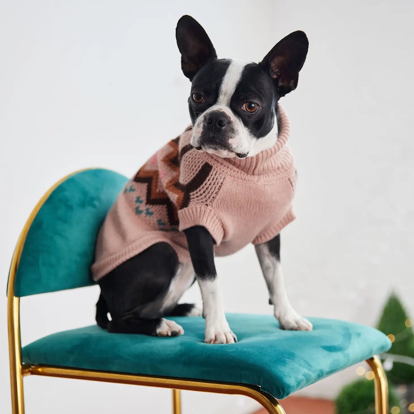 GF Pet Heritage Sweater - Pink