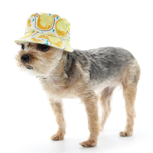 Lemonade Bucket Hat