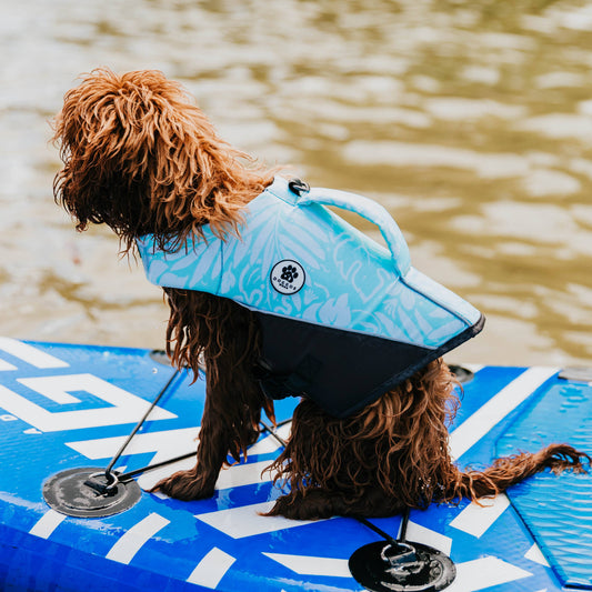Tropicana Doggo'Float Life Jacket