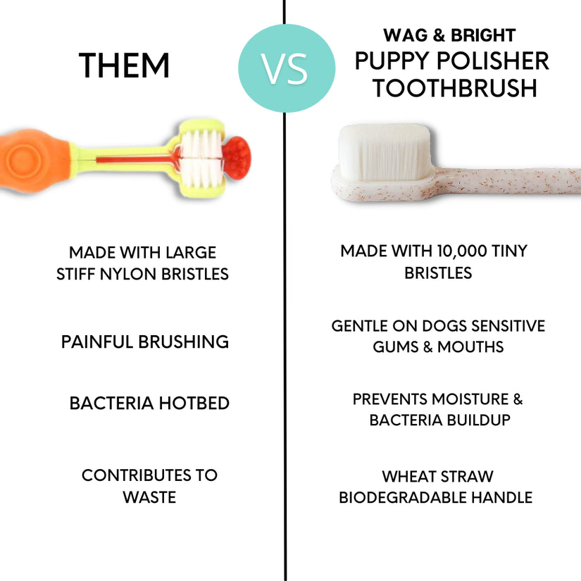 Puppy Polisher Eco Toothbrush