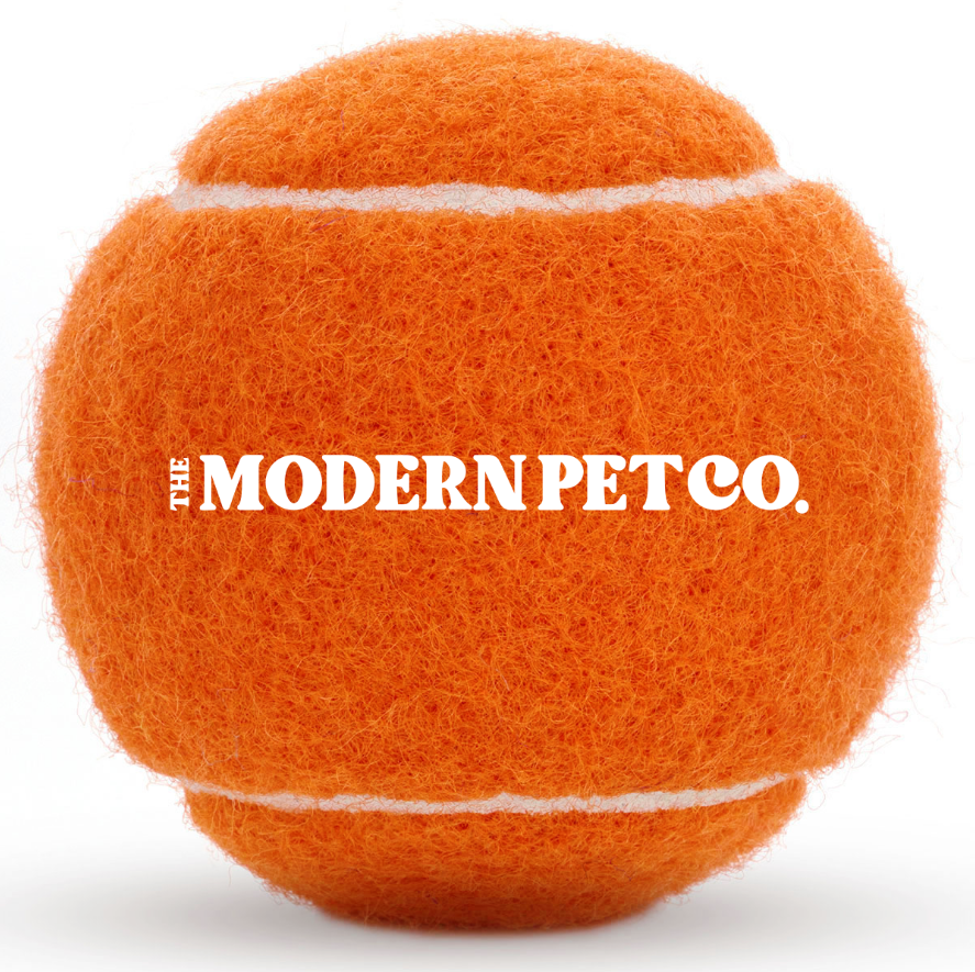 Orange Tennis Balls for Dogs