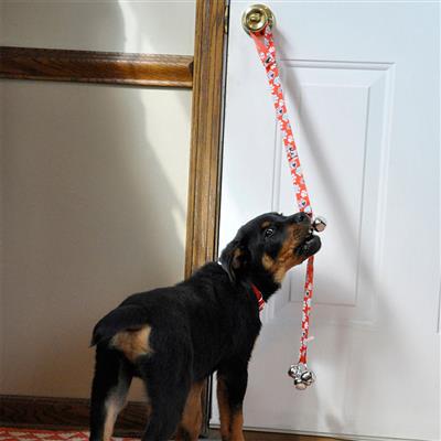 Advance Dog Potty Training Bells