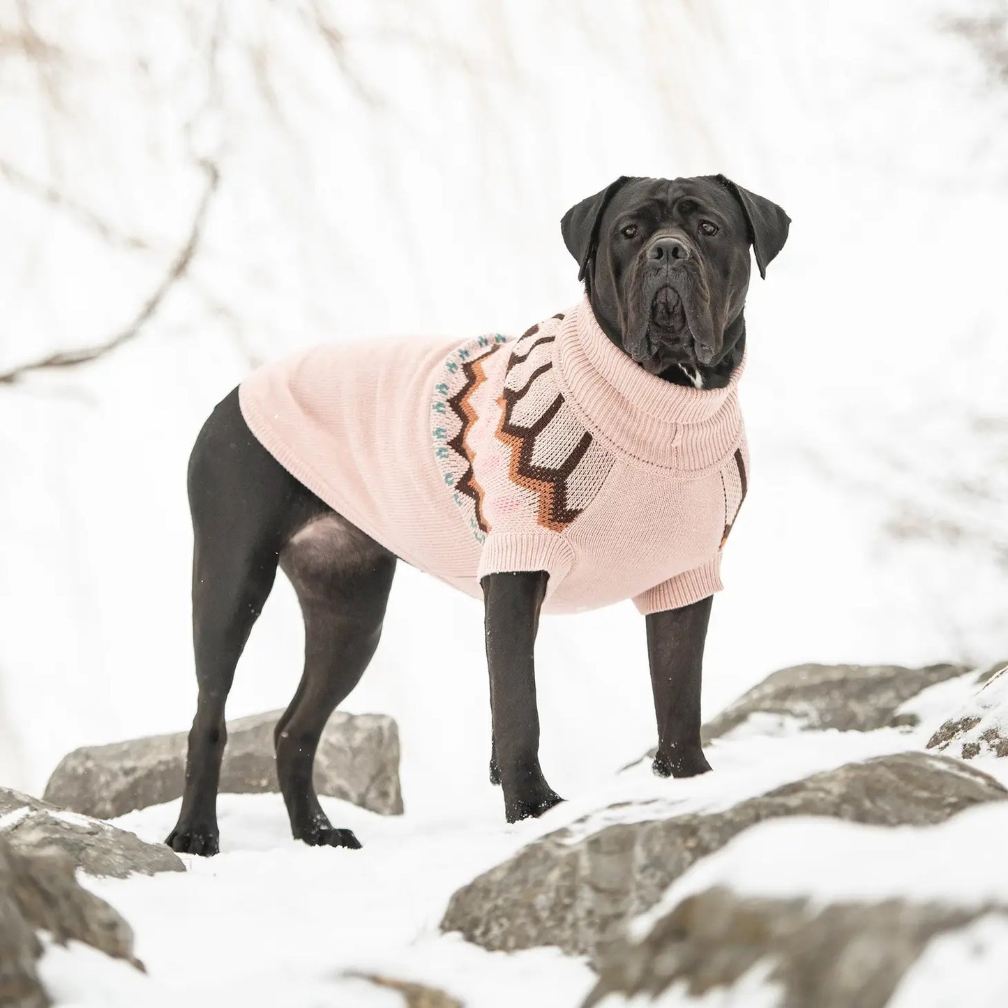 GF Pet Heritage Sweater - Pink