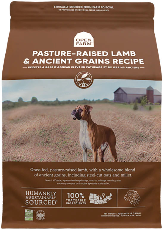Ancient Grain Lamb Dog Kibble