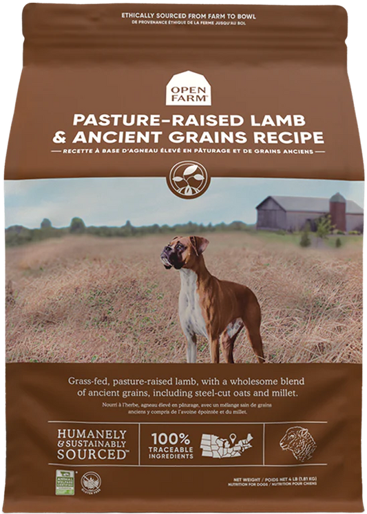 Ancient Grain Lamb Dog Kibble