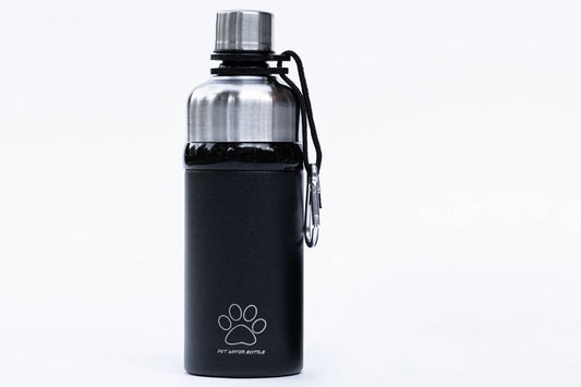 Black BPA Free Premium Water Bottle