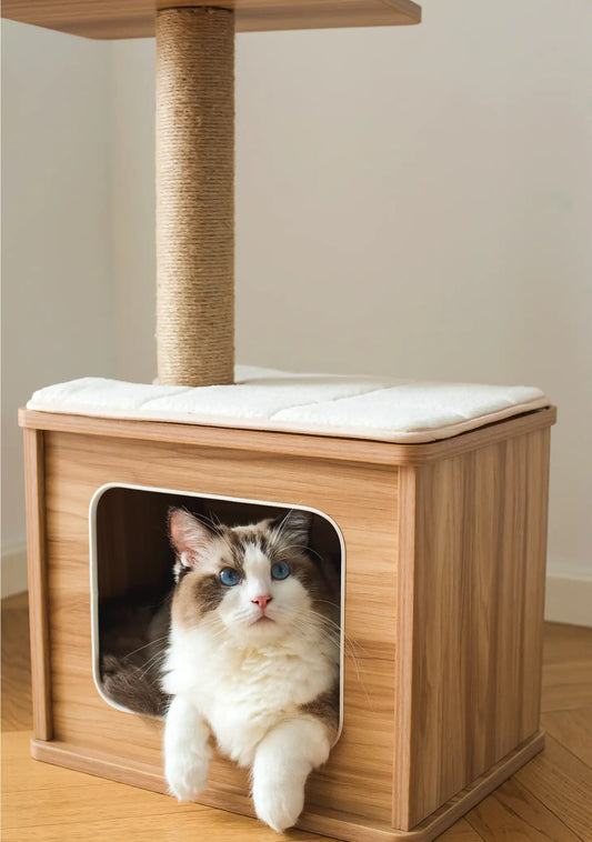 Petpals Cat Tree Condo with Paper Rope Covered Scratch Post