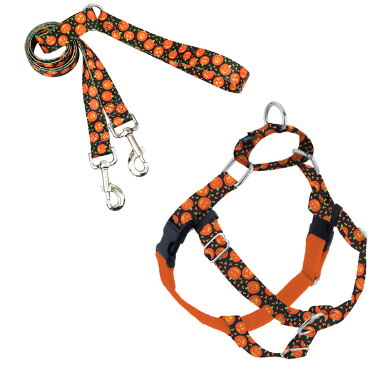 EarthStyle Jack O Lantern Freedom No-Pull Harness with Leash