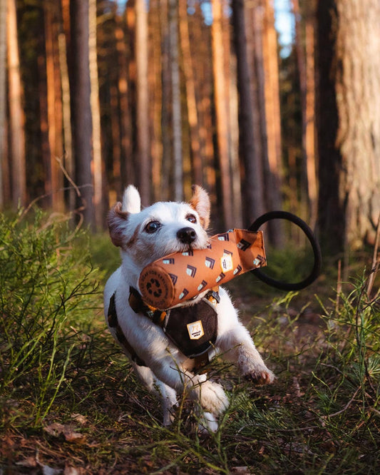 Sea to Summit Floaty Fetch Toy